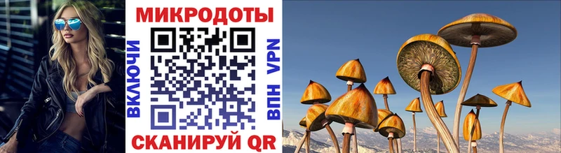 Псилоцибиновые грибы мухоморы  хочу наркоту  Майкоп 